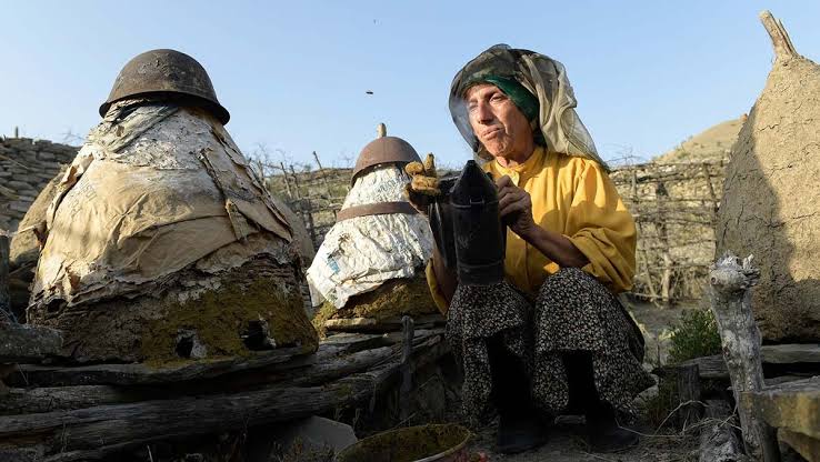 Honeyland: El equilibrio de la naturaleza